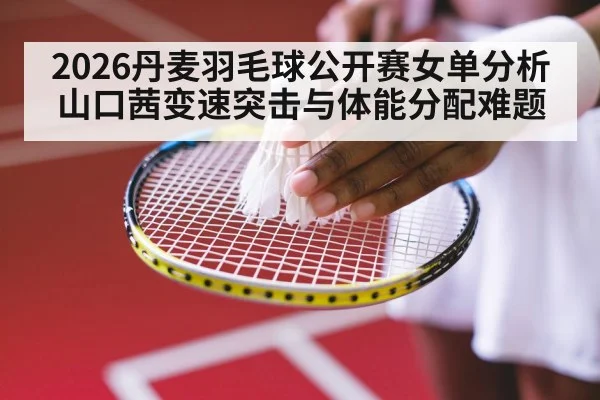badminton shuttlecock net indoor arena